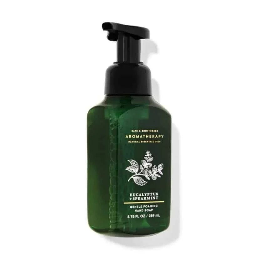 Eucalyptus Spearmint Gentle Foaming Hand Soap