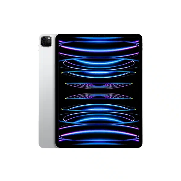 iPad Pro 11 inch Display Wifi 1TB